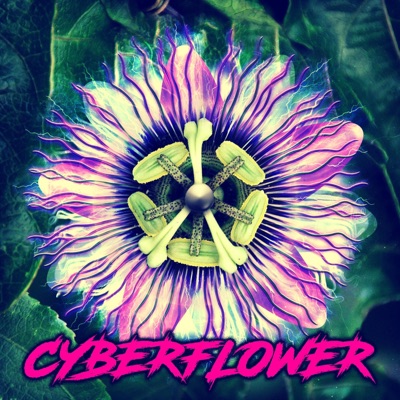 Cyberflower - EP