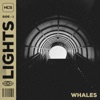 Lights - Single