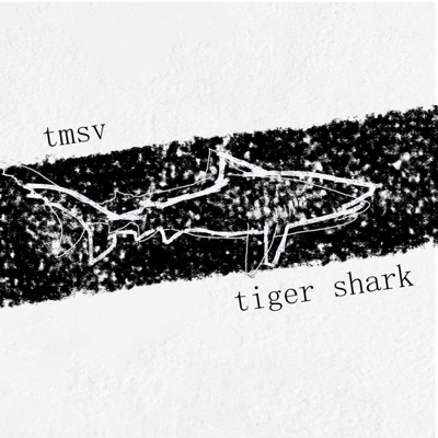 Tiger Shark - Single