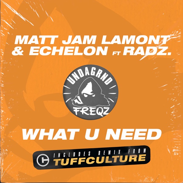 What U Need - Single