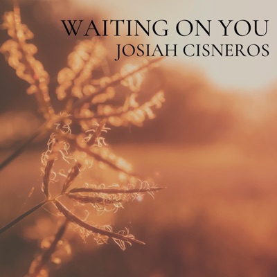 Waiting on You - Single