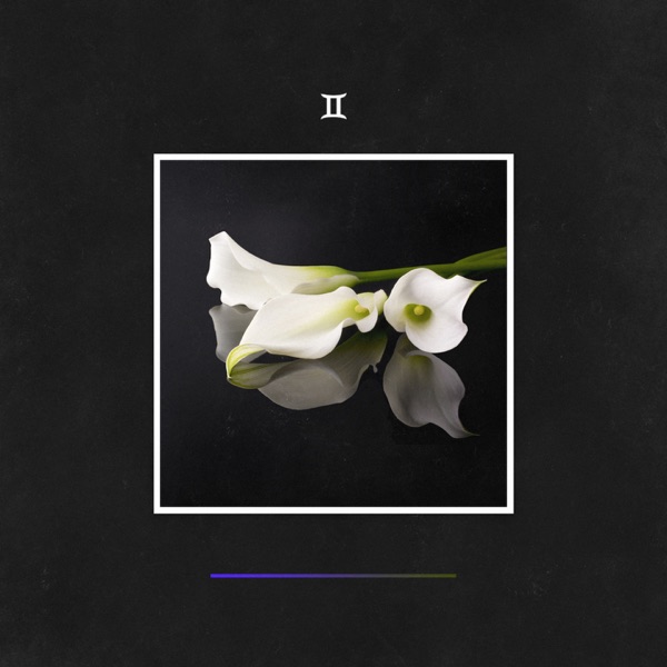 Dual - Single
