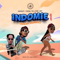 Indomie Remix (feat. Don vs & Gee Jay) [Remix] - Single - Ashlo