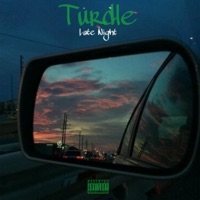Late Night - Single - Turdle