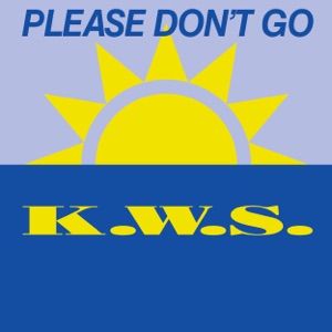 Please Don't Go - Single
