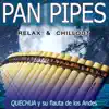 Quechua y su flauta de los Andes - Can't Help Falling in Love