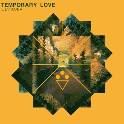Temporary Love - Single