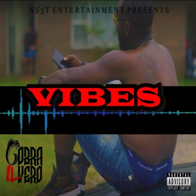 Vibes - Single