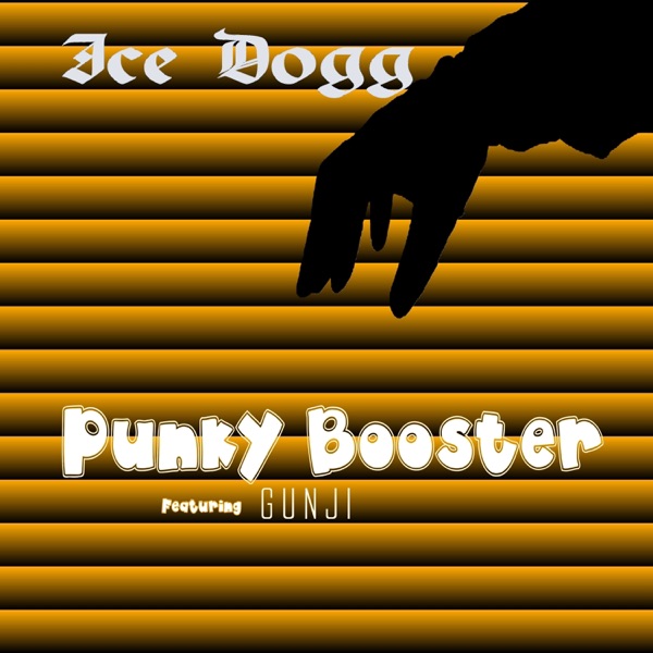 Punky Booster (feat. Gunji) - Single