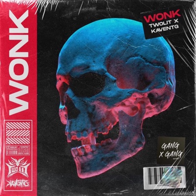 Wonk - Single