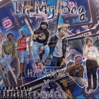 In My Bag (feat. Domo) - Single - H26demon
