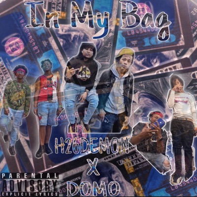 In My Bag (feat. Domo) - Single
