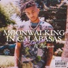 Moonwalking in Calabasas (feat. Blueface) - Remix by DDG iTunes Track 2