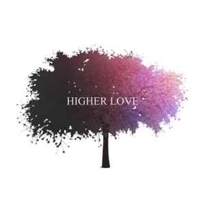 Higher Love - Single
