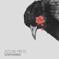 Assum Preto