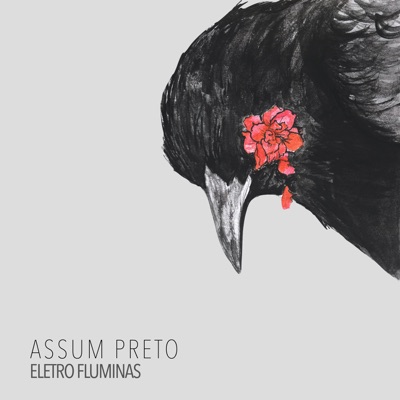 Assum Preto (feat. Jr Black) - Single