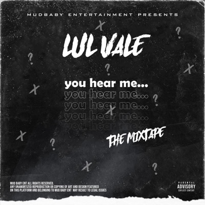 You Hear Me... The Mixtape (Live)