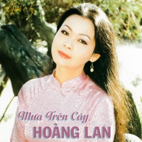Mưa Trên Cây Hoàng Lan - Khánh Ly