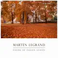 Fields Of Fallen Leaves