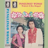 Panglingo Wonge artwork