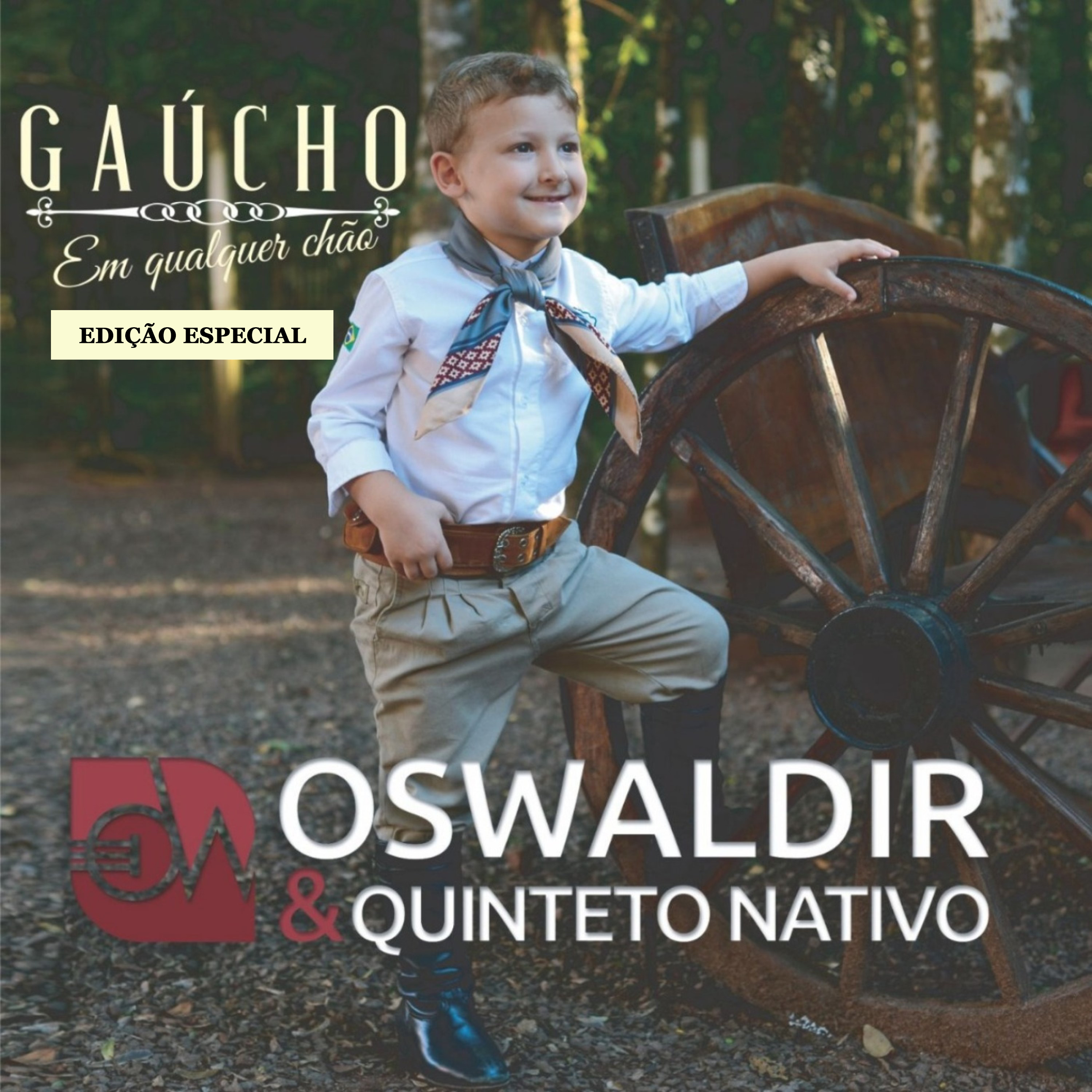 Gaúcho em Qualquer Chão (Edição Especial)