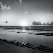 Podcast Intro - Semidavisjr