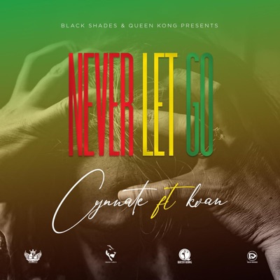 Never Let Go (feat. Kvan) - Single