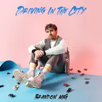 Driving In The City