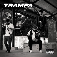Trampa Rmx (feat. Tate CR & Franz) - Single - Real G Monarquía