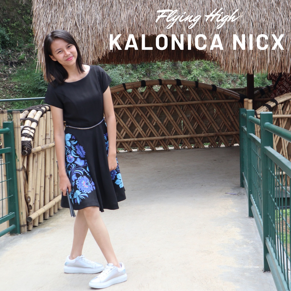 Flying High - Single - Album by Kalonica Nicx - Apple Music