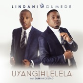 Uyangihlelela (feat. Dumi Mkokstad) artwork