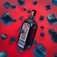 Gin - Single - X3 ROMEO