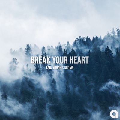 Break Your Heart - Single