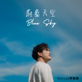 Blue Sky artwork