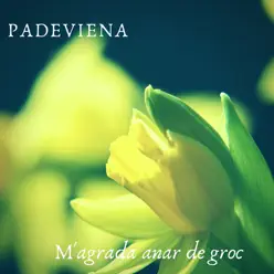 M'agrada Anar de Groc - Single - Padeviena