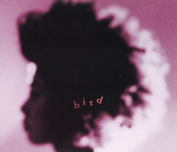 11 - UAのアルバム - Apple Music