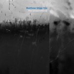 Matthew Shipp Trio - Regeneration