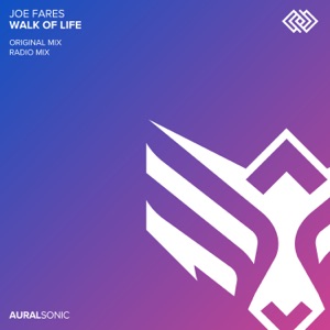 Walk of Life - Single