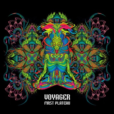Voyager: First Plateau