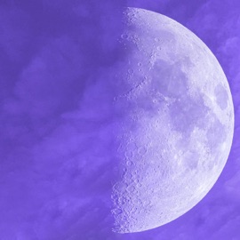 Dreary Phase Wøjtek