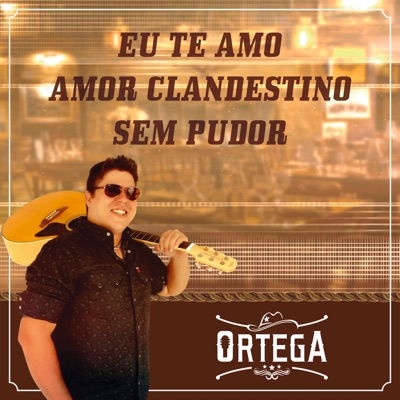 Eu Te Amo / Amor Clandestino / Sem Pudor (Cover) - Single