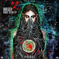 Public Secret EP - Breger