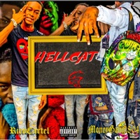 Hell Cat (feat. Rico Cartel) - Single - Moneygang1804