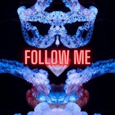 Follow Me - Single