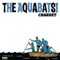 Nerd Alert! - The Aquabats! lyrics
