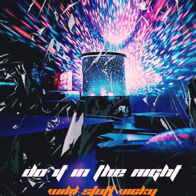 Do It in the Night - Single