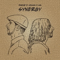 Synergy - Parab Poet