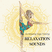 Relaxation Sounds for Relaxing Yoga Training, Spa & Massage Music, Meditation Tracks - Yoga Devotion & Sun Salutations Yoga Music Academy