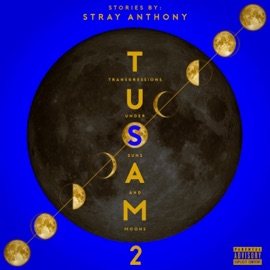 Black American Child Stray Anthony