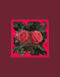 聆聽 Earth Trax、觀看音樂影片、閱讀小傳、查看巡演日期等！